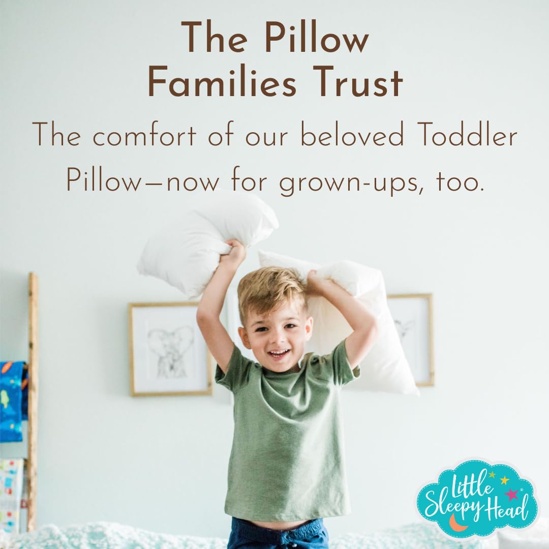 Organic Bed Pillow for Toddler, Youth & Adults
