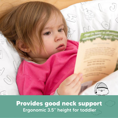 Organic Cotton Toddler Pillow with Pillowcase