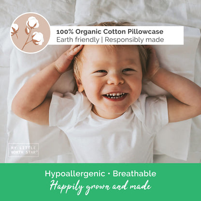 Toddler Pillow with Soft Washable Pillowcase