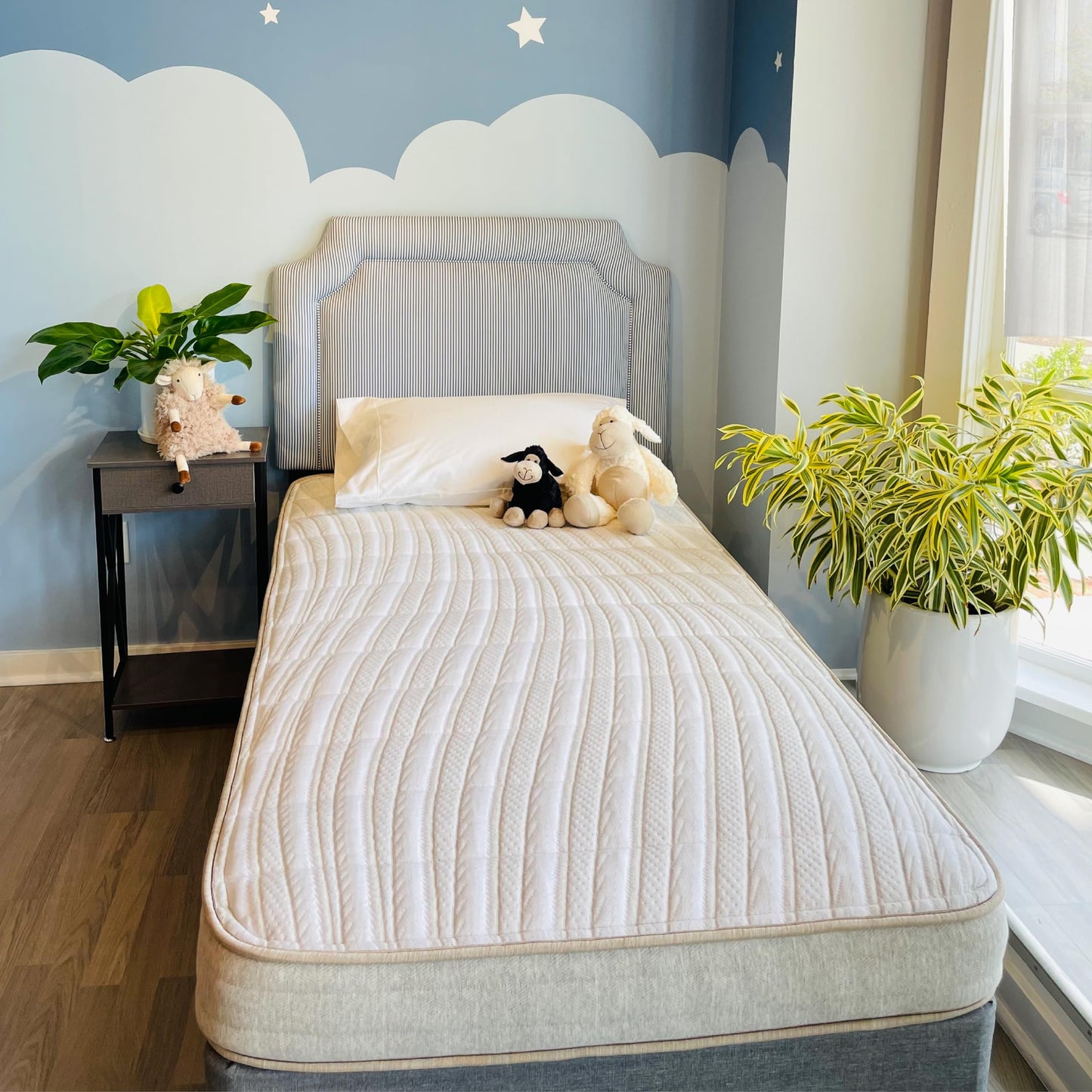 Organic Kids Mattress with Pocket Coil Support